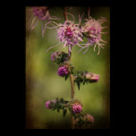 Purple Wild Flower posters