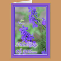 Purple Wild Flowers cards