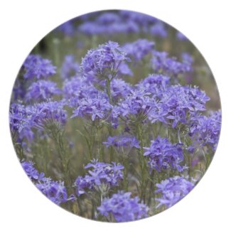 Purple Wildflower Plate plate