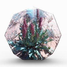 Purple Wildflowers Award
