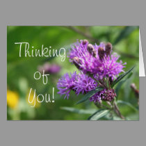 Purple Wildflowers cards by sharpcreations Purple Wildflowers cards