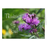 Purple Wildflowers Greeting Cards