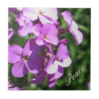 Purple Wildflowers-Peace