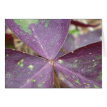 Purple Wings Greeting Cards