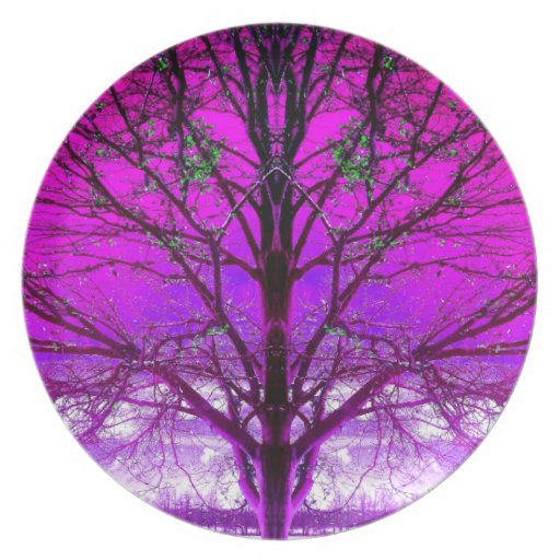 Purple Winter Art Photo Plastic Picnic Dinner Plates