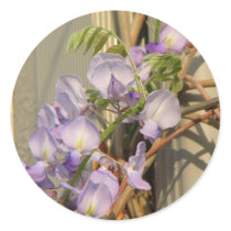 Purple Wisteria stickers by princessklb07 Purple Wisteria stickers