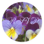 Purple, Yellow, Blue Violas stickers