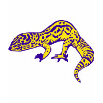Purple & Yellow Gecko t-shirts by Studio16a Purple & Yellow Gecko t-shirts