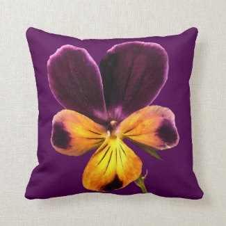 Purple Yellow Johnny Jump Up Viola Pillow