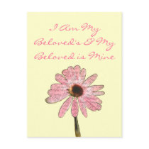 purpleconeflowerbeloved3 postkarten