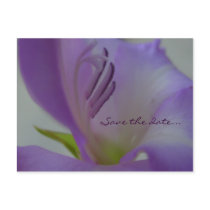 PurpleDreamFlower Save the date Postcard