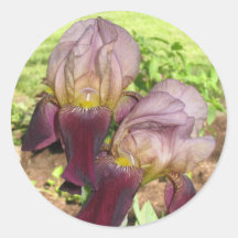 purplelavenderiris sticker