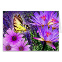 Purples In Nature cards by digitalmidge Purples In Nature cards