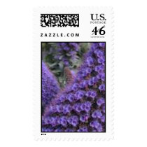 purples postage by tinkerbellekel purples postage