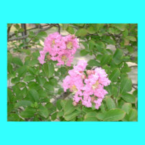 purplish pink flowers posters