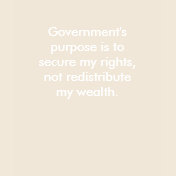 Purpose of Government shirts