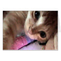 Purr-C Blue Eyes Card