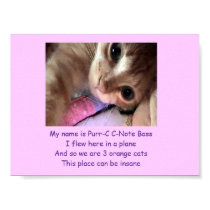 Purr-C C- Note's Intro Poster posters