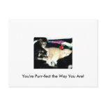 Purr-fect Greetings Postcards