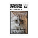 Purr my furry.....I'm Paying Bills postage by Debspics Purr my furry.....I'm Paying Bills postage