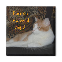 Purr on the Wild Side Magnet