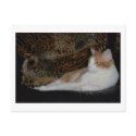 Purr on the Wild Side Postcard by smilodonart Purr on the Wild Side Postcard