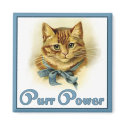 Purr Power magnets by Kat_Kapers Purr Power magnets