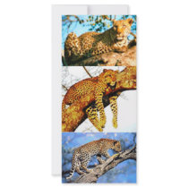 PURRFECT BOOKMARK FOR THE LEOPARD LOVER rack cards by LillMissGudyTwoShuz PURRFECT BOOKMARK FOR THE LEOPARD LOVER rack cards