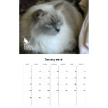 Cat Calendars