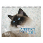 Cat Calendars