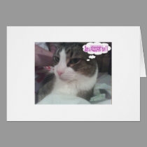 purrfectday cards