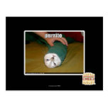 purrito postcards