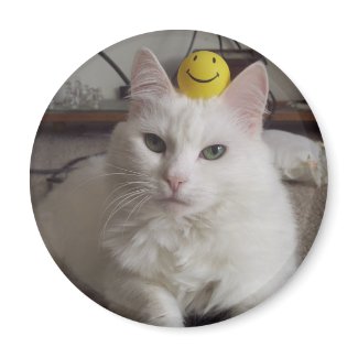 "Purrl" Magnet