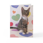 Purrrfect Valentine Greeting Cards