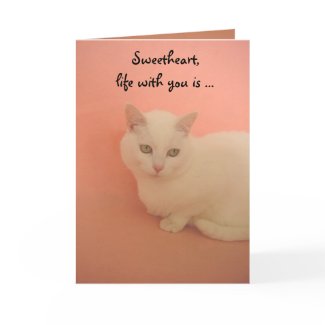 PURRRR Contentment card