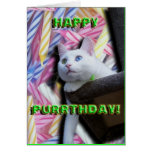¡Purrthday feliz! Tarjetas