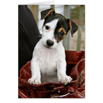 Purse Pup (add your own words inside) cards