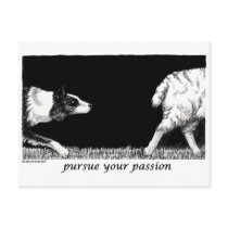 Pursue your passion Border Collie Post Cards