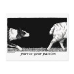 Pursue your passion Border Collie Post Cards