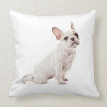 Push Up Puppy Pillows