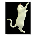 kitty poster
