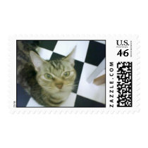 Pussy Cat postage
