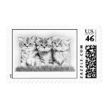 Pussy Cats postage