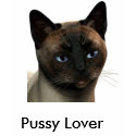 Pussy Lover t-shirts by messenger Pussy Lover t-shirts