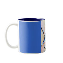 pussy wiilow blue birds mugs