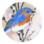 Pussy Willow Blue Round Stickers