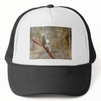 Pussy Willow hats