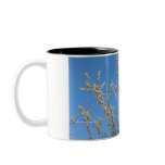 Pussy Willow mugs
