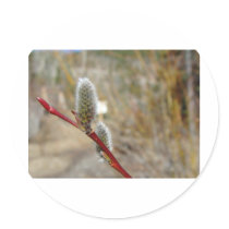 Pussy Willow stickers