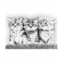 Pussycats t-shirts